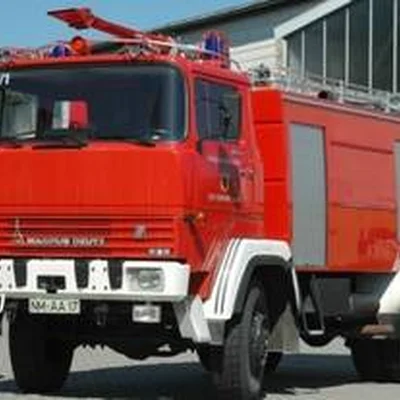 TLF 24/50
